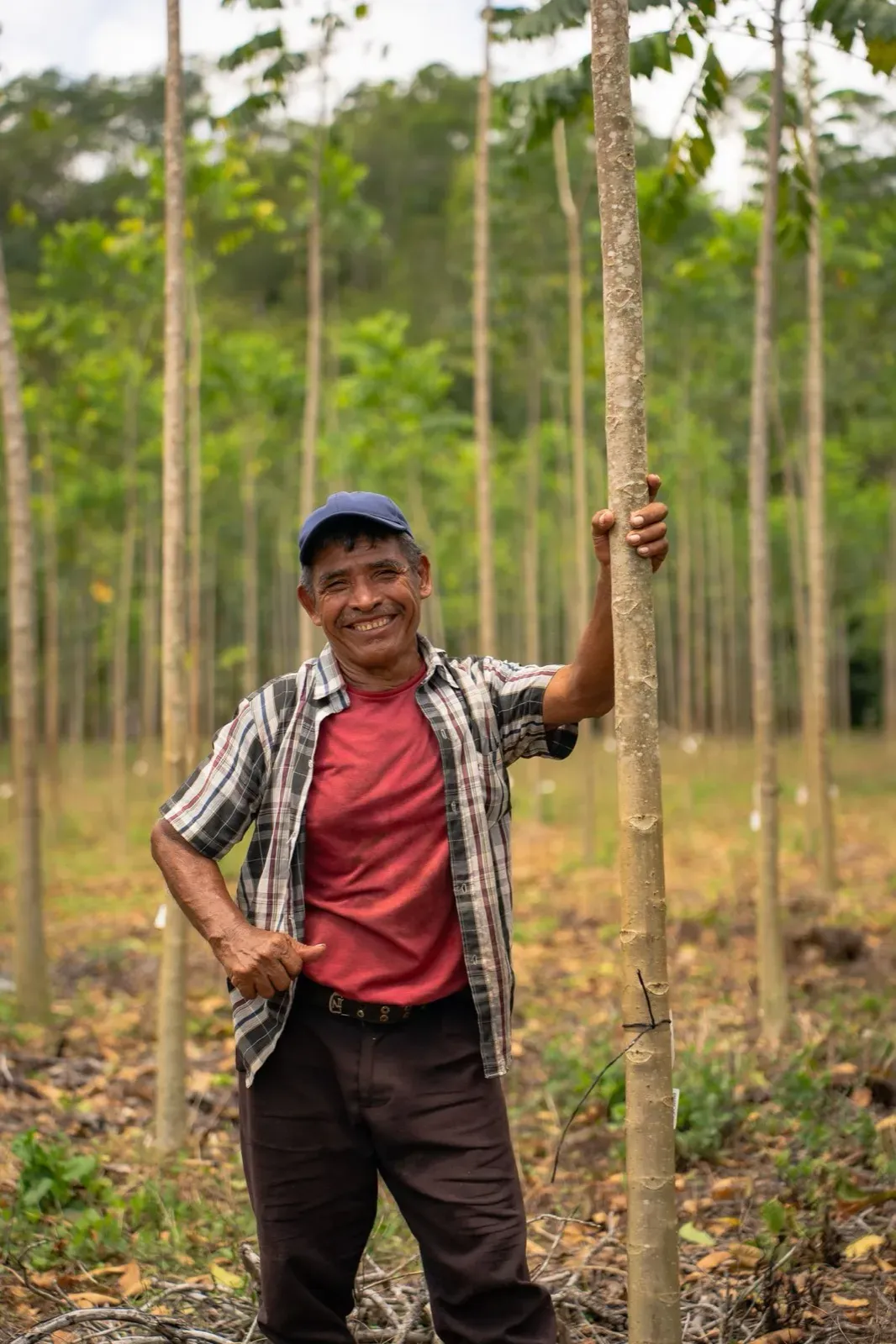 Comunità di Nuevo Horizonte, Petén